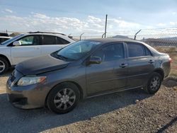 Toyota salvage cars for sale: 2010 Toyota Corolla Base