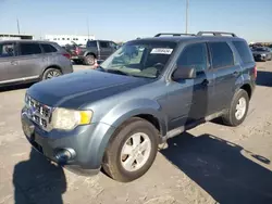 Ford Vehiculos salvage en venta: 2011 Ford Escape XLT