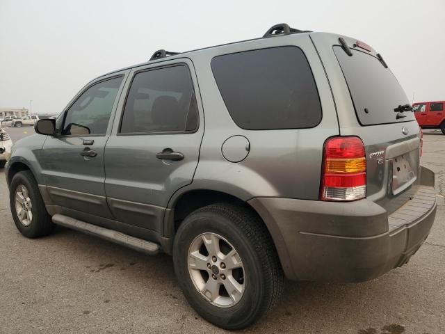 2005 Ford Escape XLT