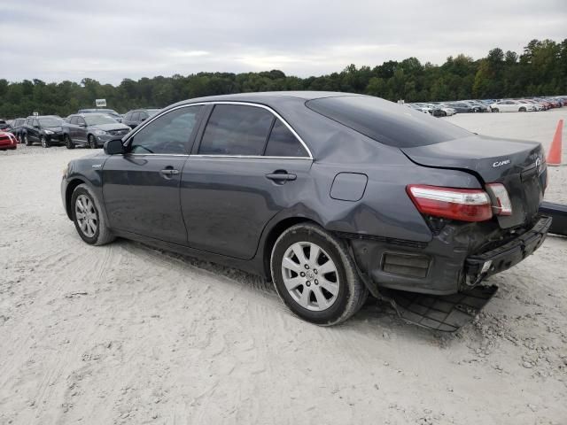 2009 Toyota Camry Hybrid