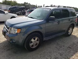 Ford salvage cars for sale: 2012 Ford Escape XLT