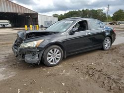 Salvage cars for sale at Greenwell Springs, LA auction: 2011 Honda Accord EXL