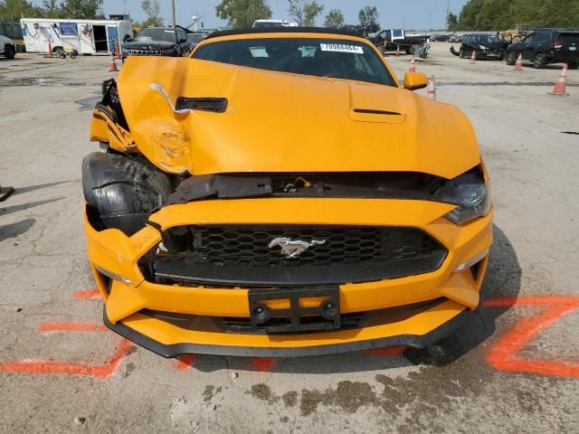 2019 Ford Mustang