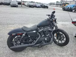 Salvage motorcycles for sale at Gastonia, NC auction: 2020 Harley-Davidson XL883 N