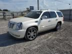 2008 Cadillac Escalade Luxury