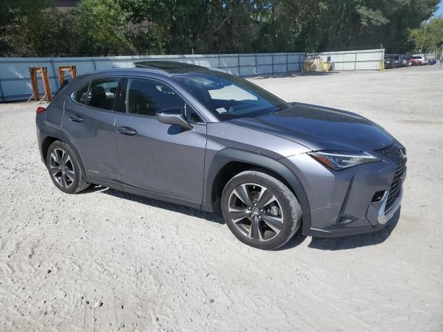 2019 Lexus UX 250H