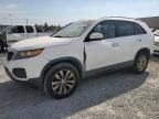 2011 KIA Sorento Base