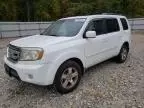 2009 Honda Pilot EXL