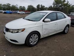 Salvage cars for sale at Baltimore, MD auction: 2010 KIA Forte EX