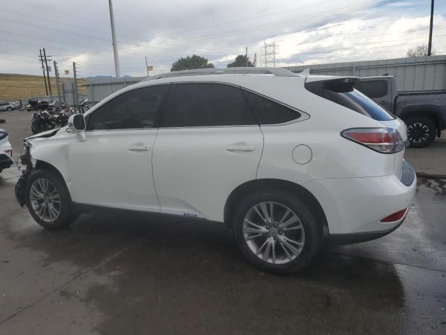 2013 Lexus RX 450H