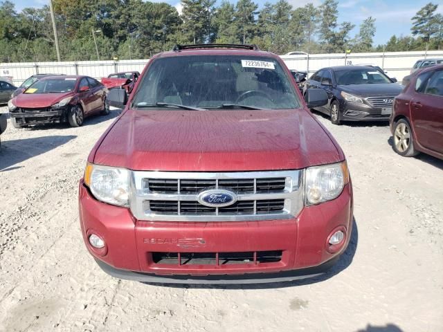 2012 Ford Escape XLT