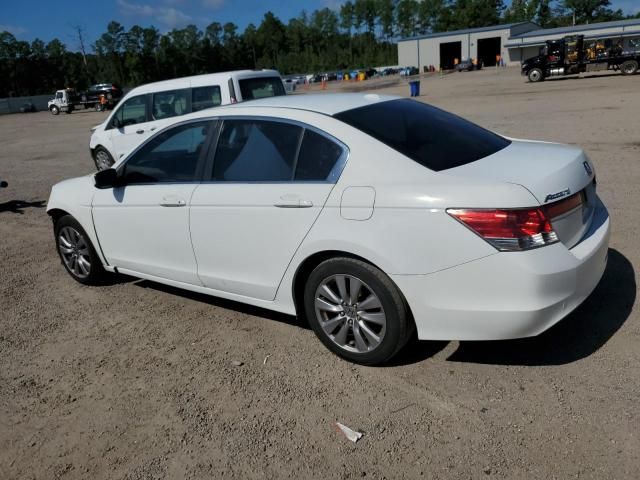 2012 Honda Accord EXL