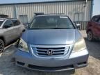 2009 Honda Odyssey EXL