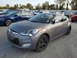 Salvage cars for sale at Bridgeton, MO auction: 2013 Hyundai Veloster