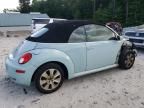 2006 Volkswagen New Beetle Convertible Option Package 1