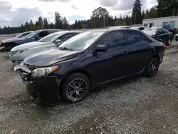 Salvage cars for sale from Copart Graham, WA: 2011 Toyota Corolla Base