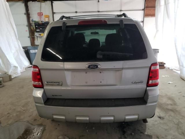 2010 Ford Escape XLS