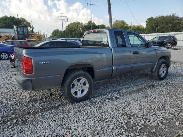 2010 Dodge Dakota SXT