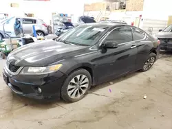 Honda salvage cars for sale: 2013 Honda Accord EX