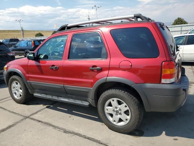 2005 Ford Escape XLT