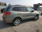 2007 Hyundai Santa FE SE