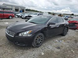 Vehiculos salvage en venta de Copart Earlington, KY: 2012 Nissan Maxima S