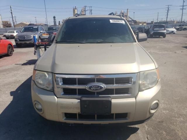 2010 Ford Escape XLT