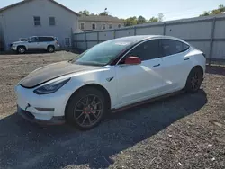 Salvage cars for sale at York Haven, PA auction: 2019 Tesla Model 3