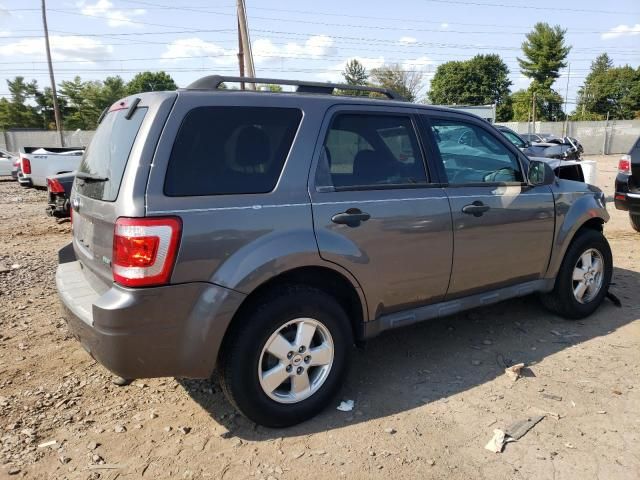 2011 Ford Escape XLT