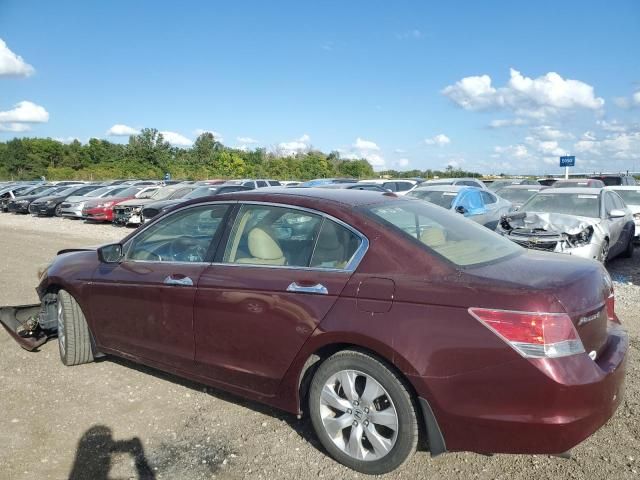 2008 Honda Accord EXL