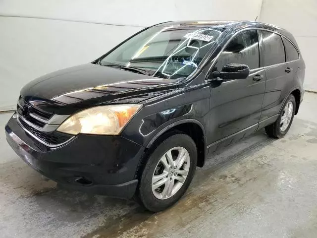 2010 Honda CR-V EXL