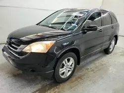 Salvage cars for sale at Houston, TX auction: 2010 Honda CR-V EXL