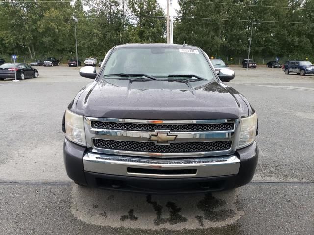 2010 Chevrolet Silverado K1500 LS