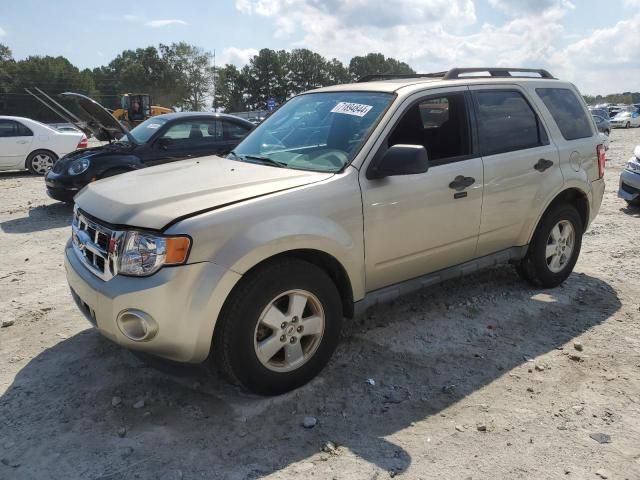 2010 Ford Escape XLT