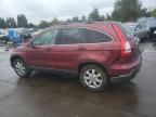 2007 Honda CR-V EXL