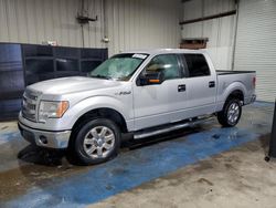 Ford salvage cars for sale: 2014 Ford F150 Supercrew