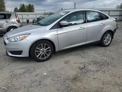 Ford salvage cars for sale: 2015 Ford Focus SE