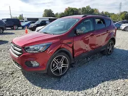 Salvage cars for sale at Mebane, NC auction: 2019 Ford Escape SEL