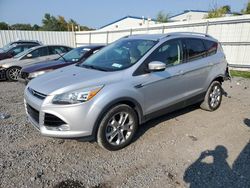 2014 Ford Escape Titanium en venta en Albany, NY