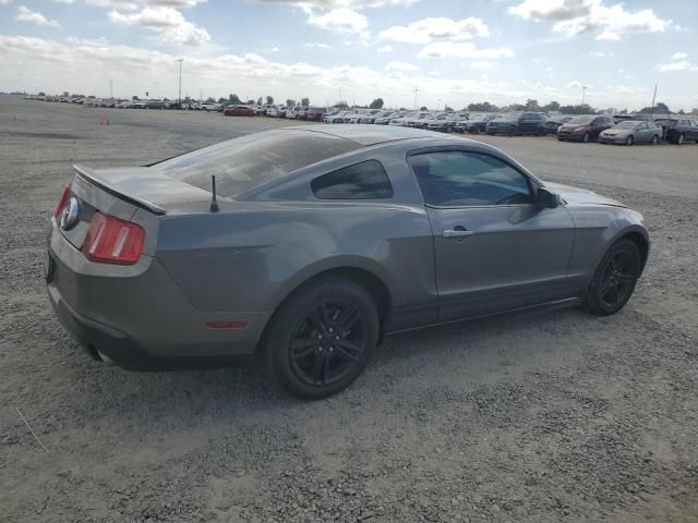 2010 Ford Mustang