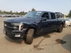 2024 Ford F150 Platinum