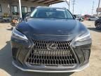 2024 Lexus NX 250 Base