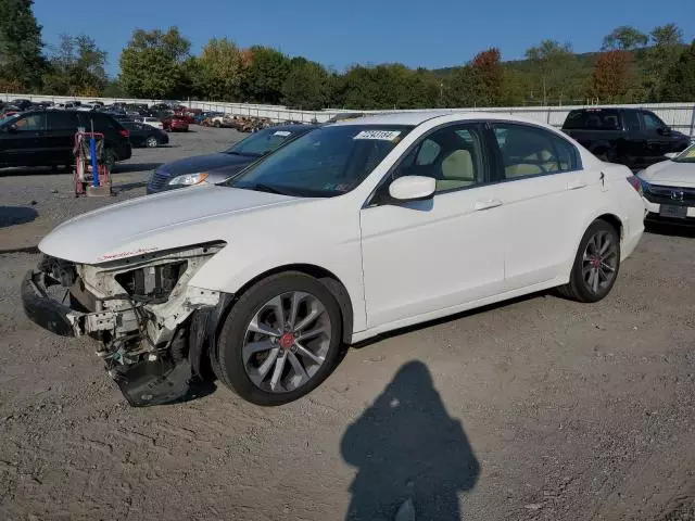 2009 Honda Accord LX