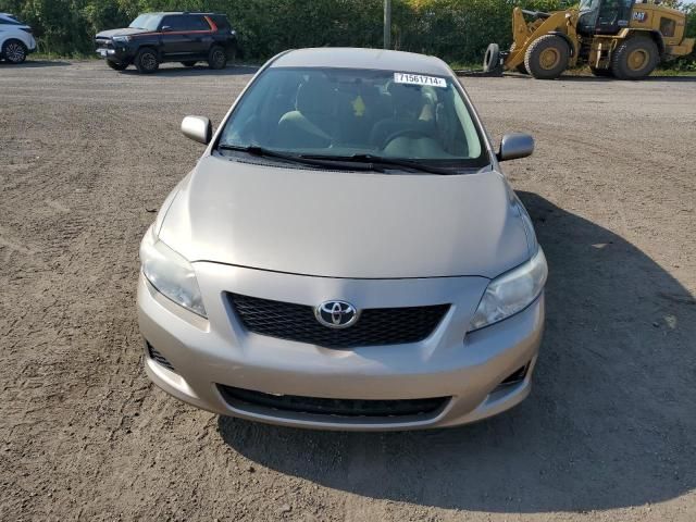 2010 Toyota Corolla Base