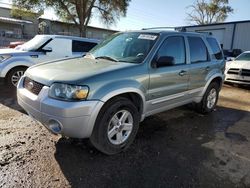 Salvage cars for sale at Albuquerque, NM auction: 2006 Ford Escape HEV