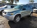 2006 Ford Escape HEV