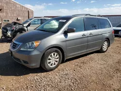 Vehiculos salvage en venta de Copart Rapid City, SD: 2008 Honda Odyssey EXL