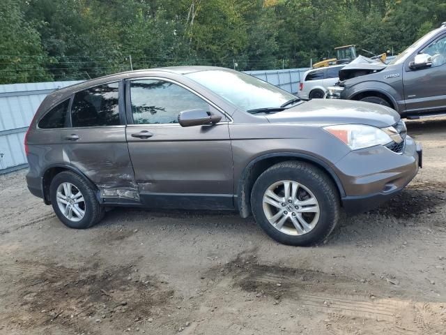 2010 Honda CR-V EXL