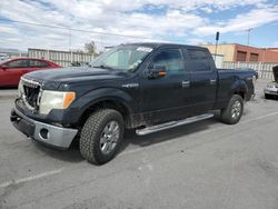 Salvage trucks for sale at Anthony, TX auction: 2013 Ford F150 Supercrew