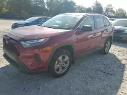 Toyota Vehiculos salvage en venta: 2024 Toyota Rav4 LE